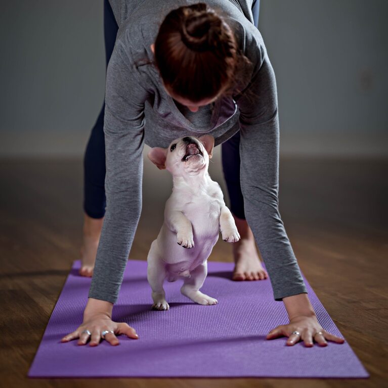 This is your sign to get new athletic wear and sign up for puppy yoga